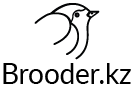 booder.kz